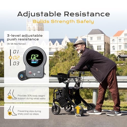 Sinceborn 4 in 1 Rollator Walker Electric Wheelchair Combo